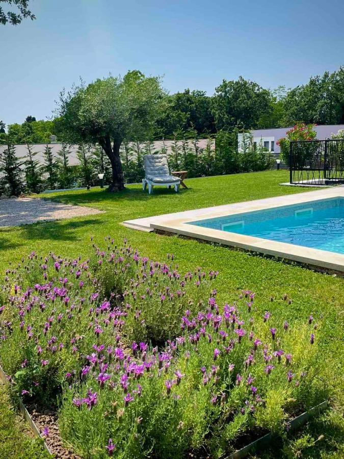 Villa Destiny Nedescina, Istrien, Kroatien Exterior foto
